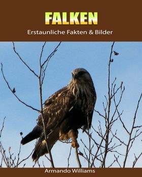 Paperback Falken: Erstaunliche Fakten & Bilder [German] Book