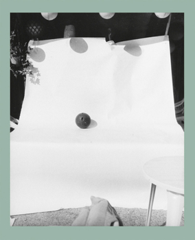 Hardcover John Gossage: An Abridged Dictionary of Sculpture Book