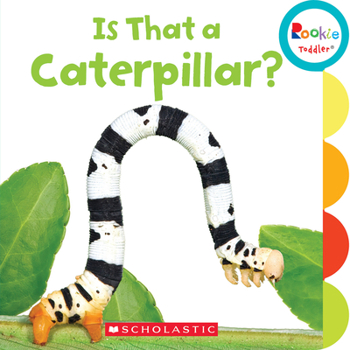 Board book Is That a Caterpillar? (Rookie Toddler) Book