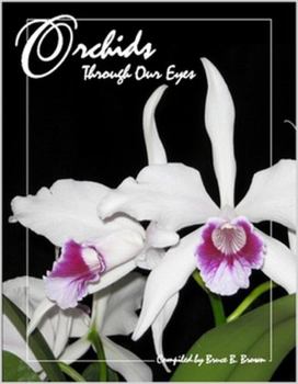 Paperback Orchids Through Our Eyes Book