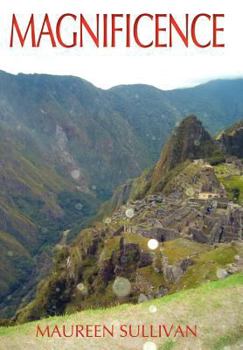 Hardcover Magnificence Book