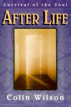 Paperback After Life: Survival of the Soul Book