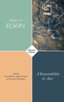 Paperback A Responsibility to Awe Book