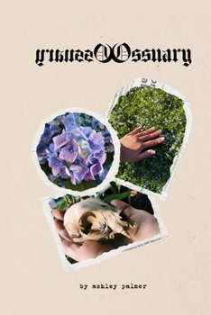 Paperback Ossuary Book