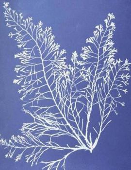 Paperback Large Hexagon Paper Notebook: Microscopic Algae cover Book