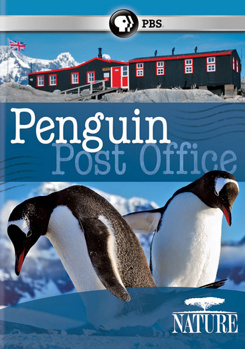 DVD Nature: Penguin Post Office Book