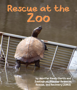 Paperback Rescue at the Zoo Book