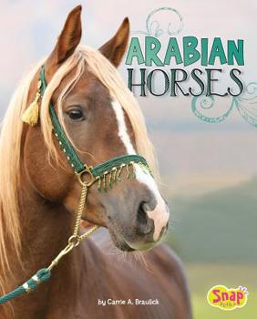 Hardcover Arabian Horses Book