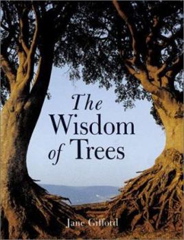 Paperback The Wisdom of Trees Book