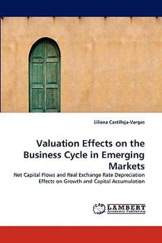 Paperback Valuation Effects on the Business Cycle in Emerging Markets Book