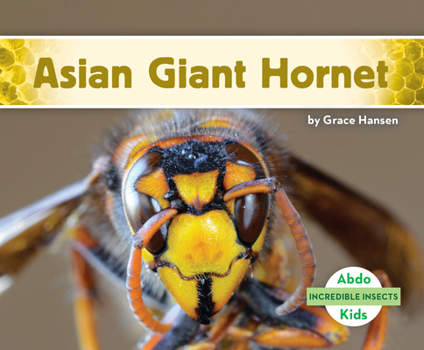 Library Binding Asian Giant Hornet Book