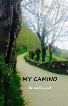 Paperback My Camino Book