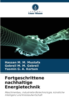 Fortgeschrittene nachhaltige Energietechnik (German Edition)