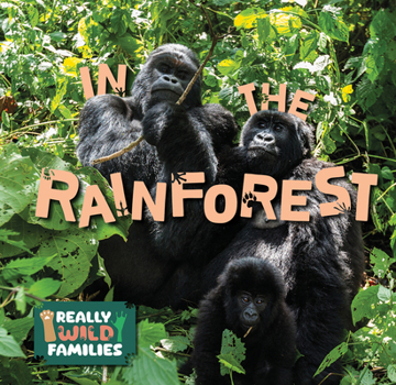 Paperback In the Rainforest Book