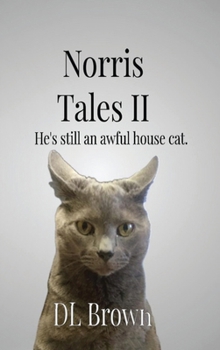 Norris Tales II: Still an Awful House Cat