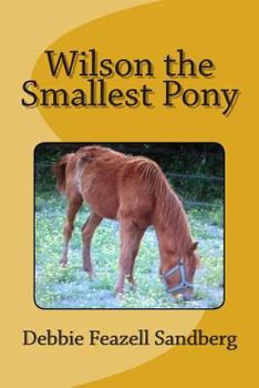 Paperback Wilson the Smallest Pony Book