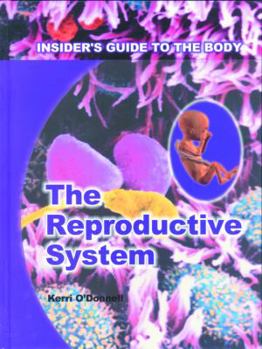Library Binding The Reproductive System Book