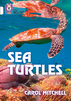 Paperback Sea Turtles: Band 10/White Book