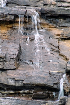 Paperback The Path of the Beatitudes: A Lenten Journey Book