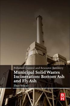 Paperback Pollution Control and Resource Recovery: Municipal Solid Wastes Incineration: Bottom Ash and Fly Ash Book