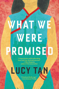 Paperback What We Were Promised Book