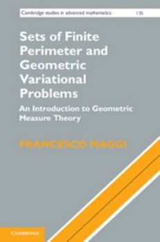 Sets of Finite Perimeter and Geometric Variational Problems - Book #135 of the Cambridge Studies in Advanced Mathematics
