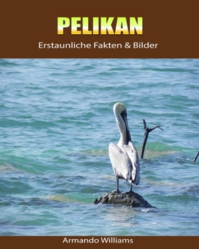 Paperback Pelikan: Erstaunliche Fakten & Bilder [German] Book