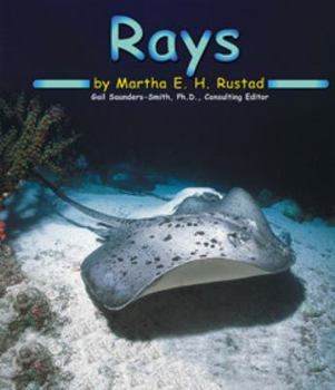 Rays (Ocean Life) - Book  of the Abdo Kids: Ocean Life