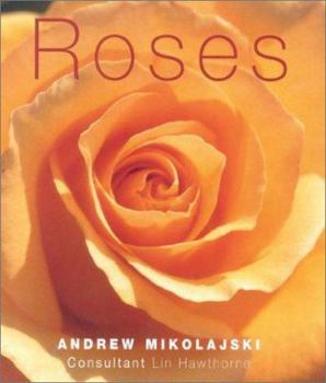 Hardcover Roses Book