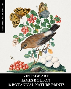 Vintage Art: James Duncan: 18 Butterfly Prints: Ephemera for Framing, Home Decor, Collage and Decoupage