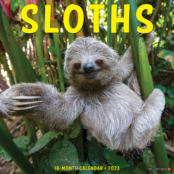 Calendar Sloths 2023 Wall Calendar Book