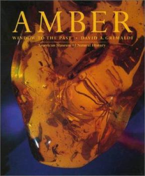Paperback Amber: Window to the Past Book