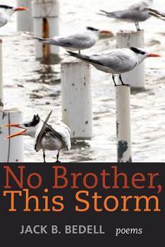 Paperback No Brother This Storm Book