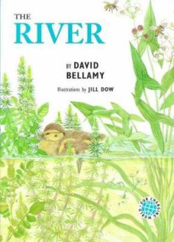 OUR CHANGING WORLD THE RIVER - Book  of the Bellamy's Changing World