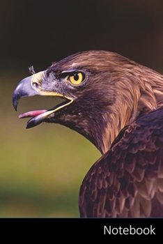 Notebook: Aigle, Rapace, Oiseau De Proie, Animaux Carnet / Journal / Livre d'écriture / Calepin / Agenda / Notes - 6 x 9 pouces (15,24 x 22,86 cm), 110 pages, surface brillante.