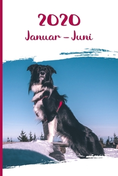 Kalender 2020: Border Collie Hunde Tageskalender 1. Halbjahr Januar Juni ca DIN A5 wei� �ber 190 Seiten