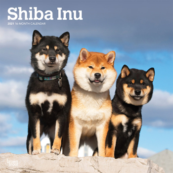 Calendar Shiba Inu 2021 Square Book