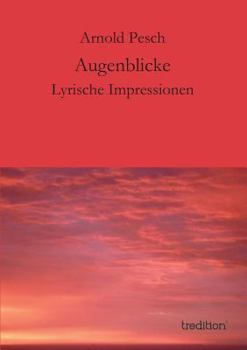 Paperback Augenblicke [German] Book