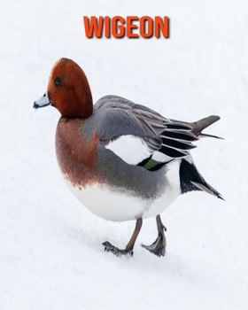 Paperback Wigeon: Learn About Wigeon and Enjoy Colorful Pictures Book
