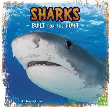 Hardcover Sharks: Built for the Hunt Book