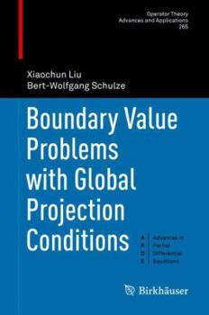 Hardcover Boundary Value Problems with Global Projection Conditions Book