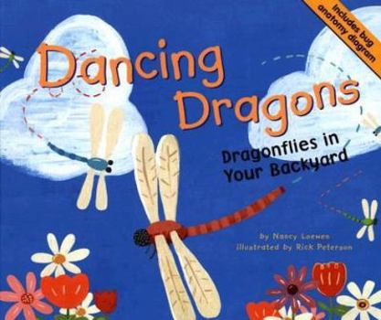 Hardcover Dancing Dragons: Dragonflies in Your Backyard Book