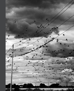 Lined Notebook: Composition Book or Journal; Black & White Birds On A Wire