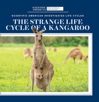 Paperback The Strange Life Cycle of a Kangaroo Book