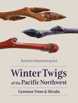 Paperback Winter Twigs of the Pacific Northwest: Common Trees and Shrubs Book