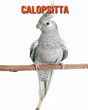 Paperback Calopsitta: Immagini bellissime e fatti interessanti Libro per bambini sui Calopsitta [Italian] Book