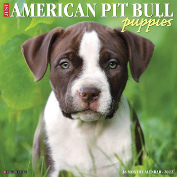 Calendar Just American Pit Bull Terrier Puppies 2022 Wall Calendar (Dog Breed) Book