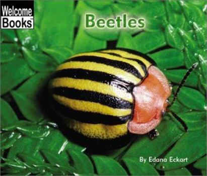 Paperback Beetles Book