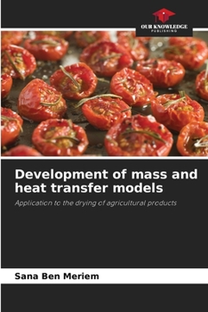 Paperback Development of mass and heat transfer models Book