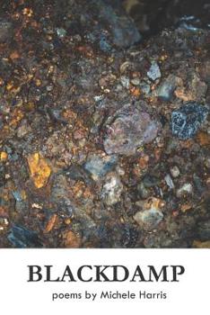 Paperback Blackdamp Book